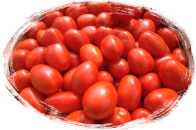 tomatoes